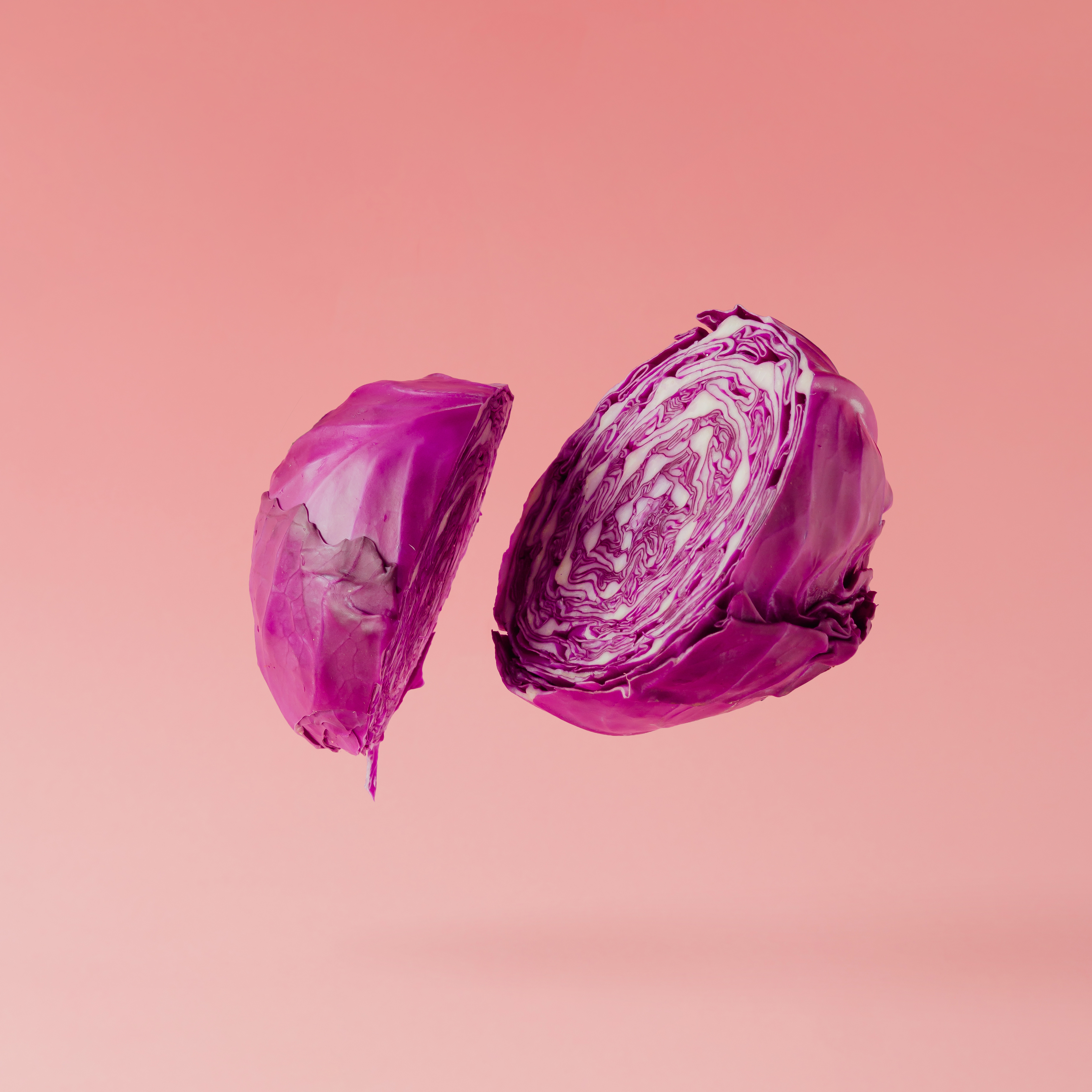 The power of prebiotics – caring for your gut health
